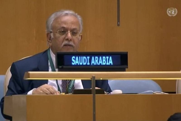 Saudi Arabia rebuffs UN resolution on 'sexual orientation'