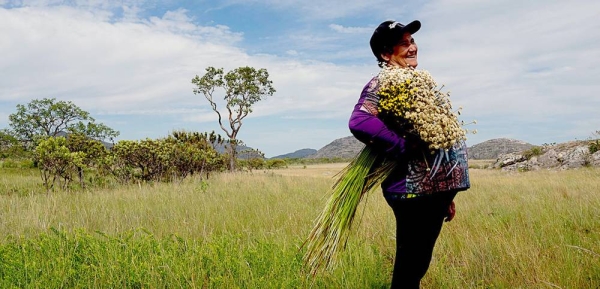 Farmers, who gatherer flowers in the Southern Espinhaço Mountain Range in Brazil, enhance biodiversity and preserve traditional knowledge. — courtesy FAO/João Roberto Ripper