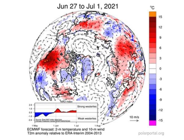 The polar bear's natural habitat is disappearing as ice caps melt due to climate change. — courtesy WMO/Karolin Eichier
