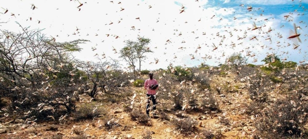 A man collects water from a water tank in Kenya. — courtesy FAO/Patrick Meinhardt