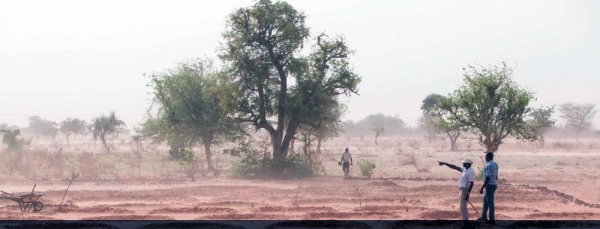 A field with mid-moon dams used to save water in the coming rainy season in Burkina Faso. — courtesy FAO/ Giulio Napolitano