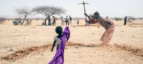 A field with mid-moon dams used to save water in the coming rainy season in Burkina Faso. — courtesy FAO/ Giulio Napolitano