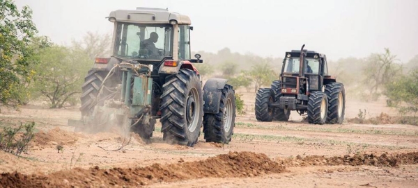 A field with mid-moon dams used to save water in the coming rainy season in Burkina Faso. — courtesy FAO/ Giulio Napolitano