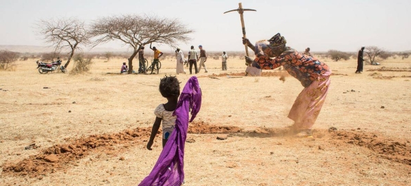 Women dig mid-moon dams to save water in Niger.