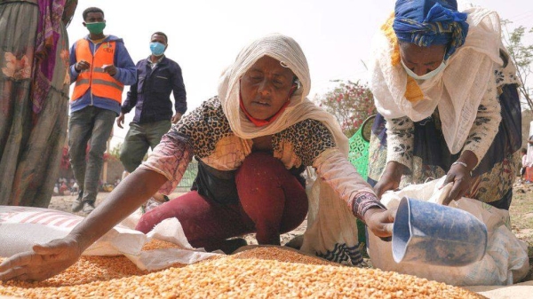 No UN food convoy has reached Tigray since December.