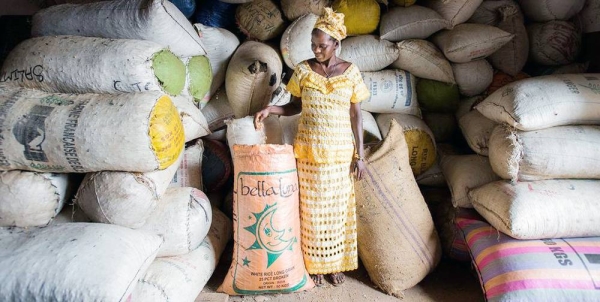 A female farmer stands in front of seed bags stored in a warehouse in a agri-business center in Sierra Leone. — courtesy FAO/Sebastian Liste