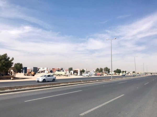 Lioness kills worker in Buraidah park