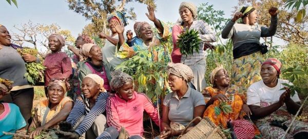 A women’s cooperative is forming in the township of Yoko, Cameroon. — courtesy UN Women/Ryan Brown