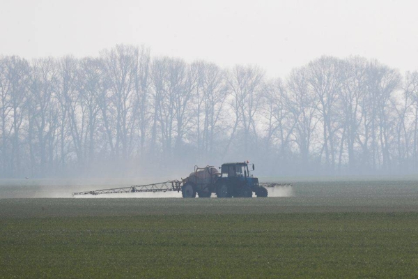 FAO said it was not clear whether Ukraine would be able to harvest crops if the war dragged on.