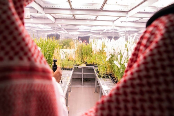 Local, regional, and global food system experts gathered to achieve sustainable food security in the Kingdom of Saudi Arabia (KSA) and the world at the KAUST Workshop for Sustainable Food Security.