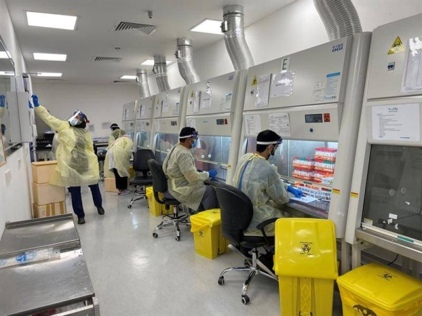 WHO recommends recognizing Weqaya laboratory as national influenza center