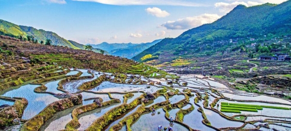 Rice Terraces System in Southern Mountainous and Hilly Areas, China. — courtesy FAO/ Zhongshan Luo
