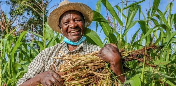 Reginald Omulo is a farmer who switched from farming tobacco to beans, in Kenya.
