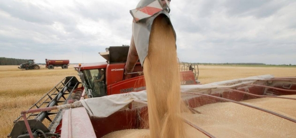 Wheat harvest near the Krasne village, Ukraine.