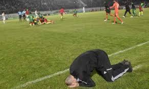 Djamel Belmadi, Algeria's manager, fell to his knees and covered his face. 