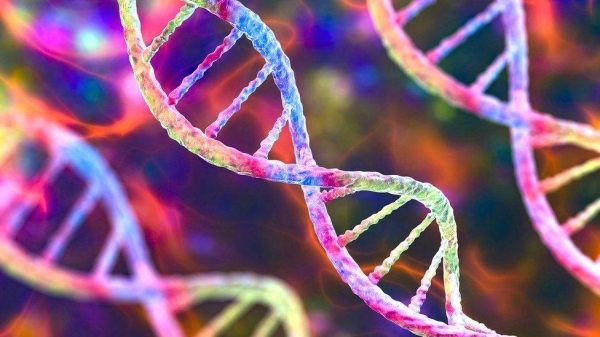 Gap-free human genome sequence completed for first time