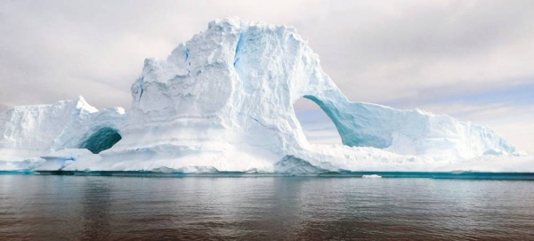 A man prepares to swim as penguins frolic on a beach in Antarctica. — courtesy UNEP