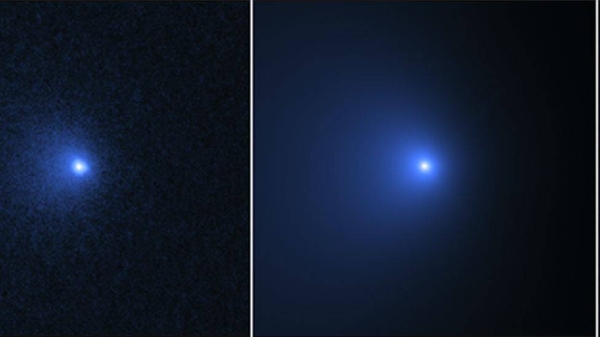 The images show the comet on 8 January, 2022. 