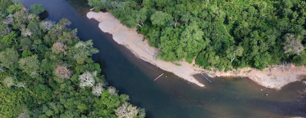 An aerial shot of Darien Gap.
