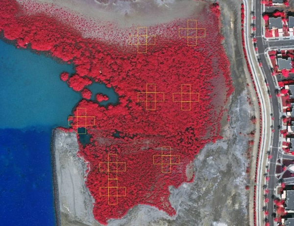 The KAUST Hydrology, Agriculture and Land Observation Lab (HALO) is a techie’s paradise, with shelf and floor space brimming with remote sensing instruments and calibration tools of every size, shape and color used for gathering and validating data in the field, in this case, three mangrove study sites in the KAUST Nature Conservation Area.