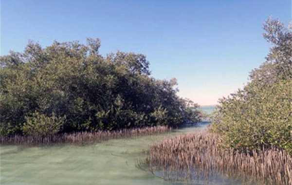 The KAUST Hydrology, Agriculture and Land Observation Lab (HALO) is a techie’s paradise, with shelf and floor space brimming with remote sensing instruments and calibration tools of every size, shape and color used for gathering and validating data in the field, in this case, three mangrove study sites in the KAUST Nature Conservation Area.