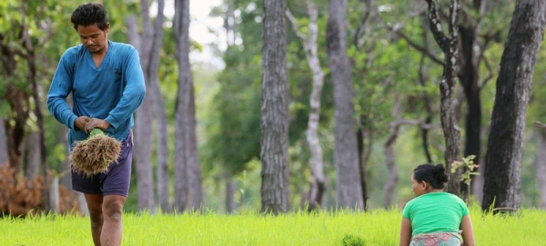 Often, vulnerable communities are situated in areas of poor or marginal soils, which increases the pressure for expansion of agricultural lands. — courtesy UNDP Lao PDR/Tock Soulasen Phomm