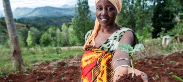 Healthy plants have the power to help end hunger, reduce poverty, protect the environment, and boost economic development.