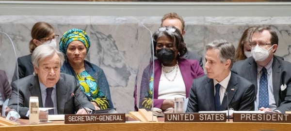 

A women's cooperative in Guinea has planted vitamin-rich Moringa trees which provide dietary supplements as well as supporting biodiversity and preventing soil erosion. — courtesy UN Women/Joe Saade