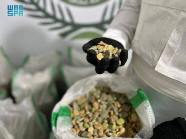 Saudi, Syrian arrested after attempting to smuggle drugs