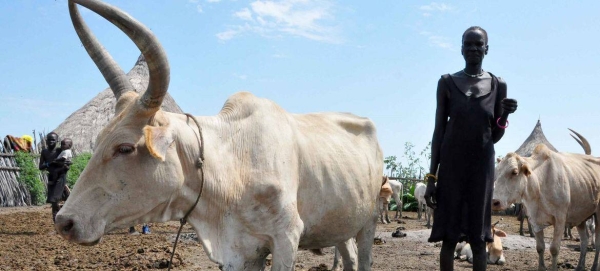 A herder with her cattle in the Sudan