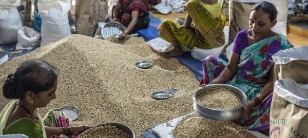 Workers sort through grain at APMC market in Mumbai, India (file photo)