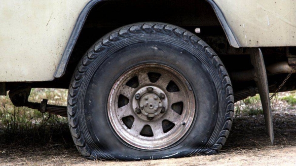 Plastic spokes support a thin tread on the Goodyear airless tIres.