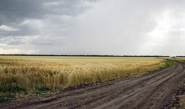 A wheat filed near Melitopol. — courtesy EPA