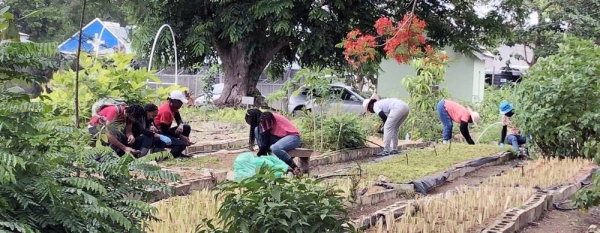 Workers at the National Botanical Gardens, Barbados. — courtesy  UN News/ Conor Lennon