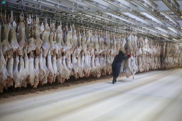 The Makkah Municipality announced that it has offered a service through Baladi platform for restaurant owners to enable them to issue permits for animal sacrifices (adahi).