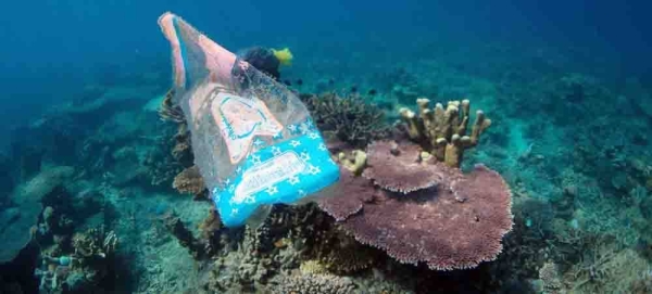 One of the biggest threats to our oceans is man-made pollution. — courtesy Ocean Image Bank/Sören Funk