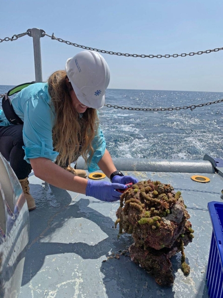 New technologies and expertise are being applied to study areas of the Red Sea, thanks to a partnership between Saudi Arabia and Japan.
