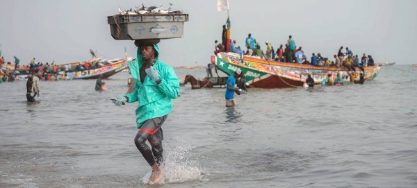 Local fishermen haul in their catch of sardines on the coast of Nui Chua National Park in Viet Nam. — courtesy UNEP/Lisa Murray