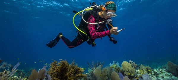 An ocean scientist conducts research while diving in American Samoa