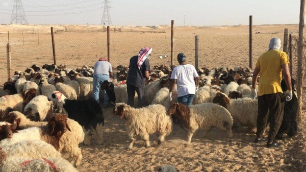 Violating the instructions of selling the bonds of the animal sacrifice (Adahi, Hadi) is considered one of the crimes that require arrest, Saudi Arabia's Public Prosecution warned.