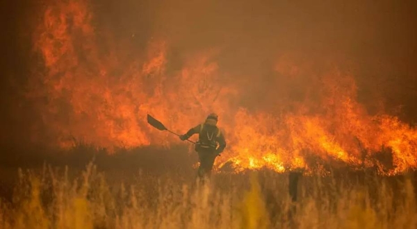 Climate change has increased the risk of fire, scientists say.