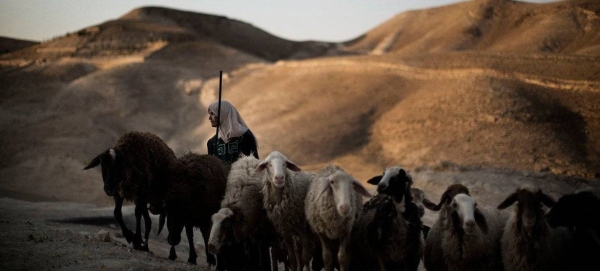 A boy leads his donkeys home in a drought affected area in south east Ethiopia.