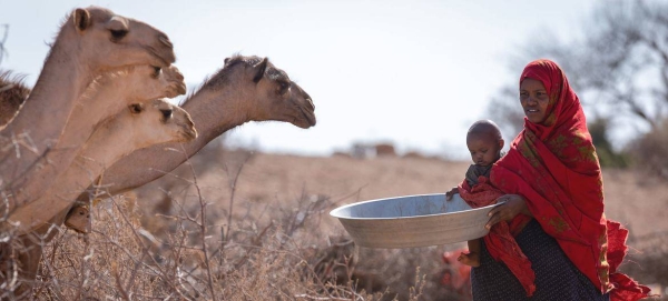 A mother-of-six fears she will lose more livestock in the coming months due to drought in Somali region, Ethiopia.