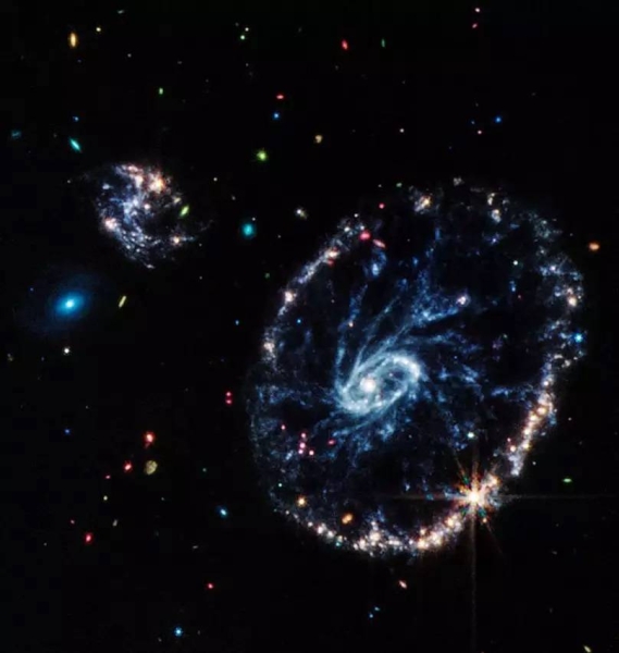 The mid-infrared light captured by Webb's MIRI infrared camera reveals fine details about the dusty regions and young stars within the Cartwheel Galaxy