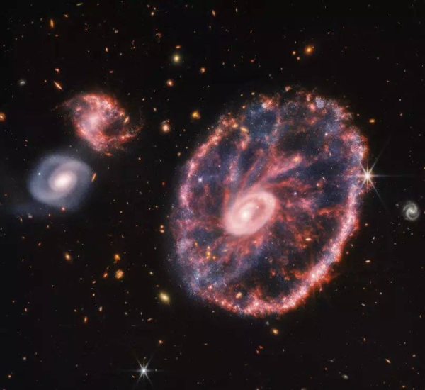 The mid-infrared light captured by Webb's MIRI infrared camera reveals fine details about the dusty regions and young stars within the Cartwheel Galaxy