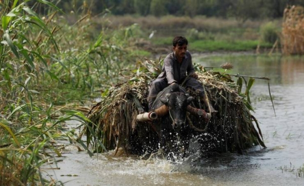 Pakistan looks like a sea after floods, PM says