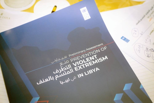 UNDP supports local authorities and communities to build peace through better opportunities and increased trust.
