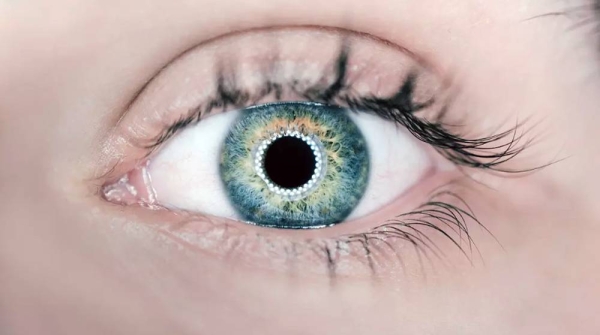 An retinal test could predict a future heart attack. — courtesy Unsplash