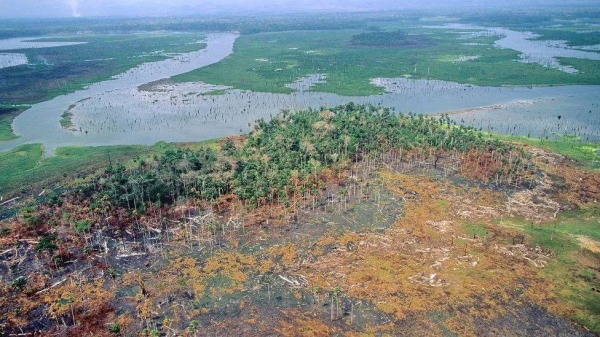 Nature faces a series of unprecedented threats in the 21st century