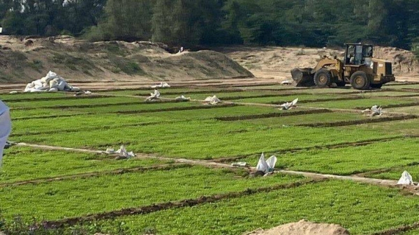 Local authorities in Makkah have opened an investigation after spotting number of farms being watered by sewage water.